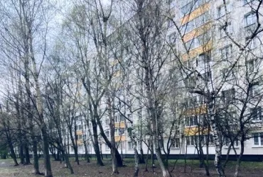 1-к. квартира, 32,9 м², 4/9 эт.