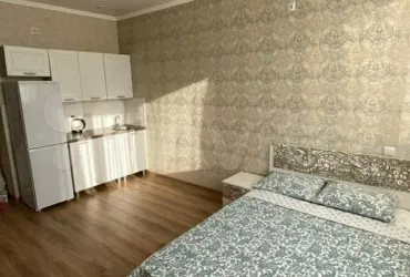 Квартира-студия, 24 м², 14/16 эт.
