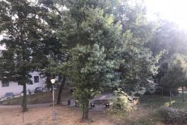 Недвижимость Квартиры / 4-к квартира,...
