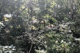 Недвижимость Квартиры / 1-к квартира,...