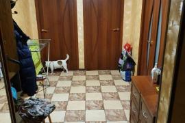 3-к квартира, 79 м², 2/16 эт.