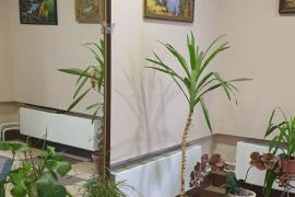 Недвижимость Квартиры / 3-к квартира,...