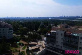 5-комнатная квартира (160 м)