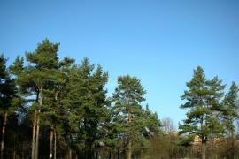 2-комн. квартира, 43,2 м²