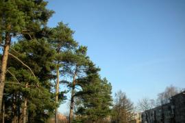 2-комн. квартира, 43,2 м²