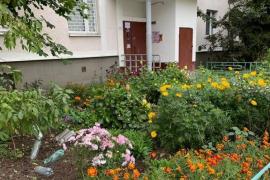 1-комн. квартира, 33 м²