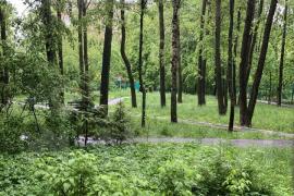 3-комн. квартира, 60,7 м²